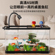 Turtle tank household landscaping filter cycle sunbathing platform climbing platform acrylic ecological mixed fish tank small turnover box sunbathing lamp