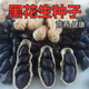 Black peanut seeds, sown in spring and summer, purple and black peanut seeds, black seed peanuts, original peanuts for field use, net weight in shell, 500 grams