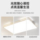 全光谱套餐中山灯具客厅灯主灯现代简约大气长方形LED吸顶灯大灯 36W 全光谱护眼RA9738*38CM-36W