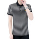 Hailan striped POLO shirt men's short-sleeved POLO shirt Korean style slim ice silk shirt summer trendy brand casual embroidered shirt 6626 gray M (90105Jin[Jin equals 0.5 kg])