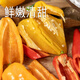 
Zhushi Orange Fruit Colored Peppers Bell Peppers Yunnan Fresh Long Pepper Mini Chili Can Eat Raw Salad Seasonal Fruits and Vegetables Premium Medium Fruits 1050g - Randomly sent 2-4 colors