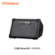Roland CUBE-Street EX speaker outdoor roadshow portable playing and singing electric blowpipe electric guitar outdoor playing and singing sound CUBE-STEX + portable trolley bag + Shure SM58S