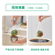 Youao colorful edge kitchen sink filter 300 disposable sewer filter dishwashing sink floor drain filter