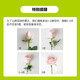 Exclusive for live broadcast: 10 Aisha roses (iron-headed large bud roses) (length 45-60CM) 1 serving