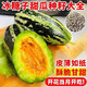 Bingtangzi melon sweet toothless melon seeds cantaloupe seeds four seasons garden spring and autumn fruits and vegetables melon seeds G Bingtangzi melon 4 packs + fertilizer