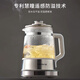 Joyoung Zhang Wanyi's same style 1.8L all-glass boiling health pot tea maker 316 stainless steel tea basket 0 glue boiling water and heat preservation integrated constant temperature electric kettle 18WY20R
