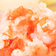 Yasui [78.5 Select 5 pieces] Hotpot meatballs Fish balls Barbecue Kanto Hotpot Ingredients Lock Fresh Meatballs C 100g Large-grain shrimp slip * 1 bag