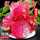 Authentic Guangxi Jindu No. 1 dragon fruit, freshly picked, straight and super sweet, 2 pieces (single piece 200g-300g)