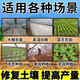 Soil-borne disease bactericide, agricultural soil fungicide, anti-repeat root rot, dead seedlings and root rot, 10 packs 500g*10