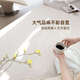 Oluxun Customized Carpet Living Room Cream Style 2025 New No Washable Rubber Household Sofa Coffee Table Waterproof Floor Mat Bedroom Bed Simple Line-15934 140*200cm Upgraded Waterproof