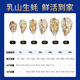 Bassling Fresh Rushan Ecological Oysters 8XL Net weight 9Jin Jin is equal to 0.5kg 8-11 pieces Straight from the source