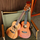 
He Jiagong Ukulele Beginner Beginners and Beginners for Girls' Introductory Veneer 23-inch Small Guitar Children's Trademark Edge + Accessories + Tuner + Cotton Bag 23-inch