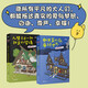 
Xinhua genuine world without fairy tales 2: Life is more than a sweet dream + If there is really a parallel world SN8569SN3532