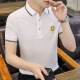 FJLT轻奢高档品牌polo衫男士T恤夏季新款时尚短袖翻领商务透气上衣 F6628（绿色） 2XL (建议140-160斤)