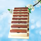 
Master Chen's mahogany 8-tone brick Orff children's percussion instruments home school training aids eight-tone mahogany 8-tone C-tone