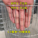 Zhongsenweit galvanized long-hole pigeon cage wire mesh fence for breeding chickens, pigeons and rabbits, homemade birdcage window sealing protective grid 30cm high - 1.1X10cm hole - wire 1.8 thick 1 meter long
