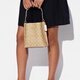Coach (Coach) 618 Coach Mollie Classic Metal Logo Ikonischer Käfig Künstlicher Leder -Bucket -Bag Handheld Basic -Paket (Bag + Dust Bag)