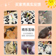 Muling Cat Toy Bite-resistant Ribbon Cat Flirting Stick Playable Long Rod Ribbon Pet Self-Happiness and Boredom Relief Artifact Cat Supplies Collection Colorful Ribbon Cat Flirting Stick