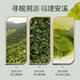 Tieguanyin neuer Tee authentisch Fujian Anxi Oolong Tee reichhaltig und duftender Duft authentisch kons