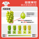 Jingxiansheng Sunshine Rose Grape Green Grape 4-4.5Jin Jin is equal to 0.5kg gift box, single fruit about 10g, fresh fruit, fresh gift box