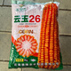 Yunyu No. 26 Yunnan and other high-yield and high-quality big sticks Guangshi 2 kilograms of original Yunyu No. 26 Yunyu No. 26 Yunnan and other high-yield and high-quality big sticks Guangshi 2 kilograms of original Yunyu No. 26