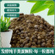 【1396人好评】羊粪发酵有机肥纯羊粪蛋颗粒羊粪肥蔬菜花卉果树阳 高温堆积发酵羊粪肥粉末30斤 纯