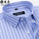 CEO Yageo Men's Short Sleeve Shirt Summer Cotton Business Casual Professional Wear Anti-Wrinkle-Free-Iron Middle-aged Stripe Shirt DX6626 45 Suggested 195-210Jin[Jin equals 0.5 kg]]