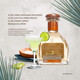 Jagermeister Petite bouteille de vin étranger, six vins de base principaux, whisky, brandy, vodka, rhum, tequila, gin, oushuai standard trésor tequila 50ml * 1 bouteille