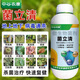 Zhonggu Nongkang (ZGNK) Universal Bacteria Clearing Fungicide Microbial Inoculant Crop Root Rot Leaf Spot Vegetable Plant General Genuine 500g 2 Bottles Genuine Bacteria Clearing