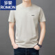 罗蒙（ROMON）男士短袖t恤夏季新款潮流棉简约圆领上衣休闲凉感体恤衫男T YS9929莲紫【带标】 均码 120【141-160斤】
