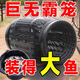 Buy one and get three free. Super large fish cage fishing artifact that can only enter and not get out of the cage to catch crabs, loach and fish. 2 giant fish cages, 50cm long and 20cm wide. Flash sale bonus. Free bait + bait cup + cage rope.