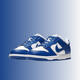 耐克（NIKE）  耐克女鞋SB Dunk Low男鞋春夏季低帮休闲运动板鞋D 黑白熊猫 DD1391-100 40.5
