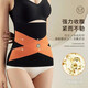 Summer Breathable Abdominal Belt Women's Waist Girdle Shaping Slim Belly Sports Belt Men's Beer Belly Waist Clip Skin Color Traceless Shaping + New Upgrade XL 120-135Jin Jin equals 0.5 kg