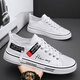 Li Ning Trendy Canvas Shoes Men's Summer 2025 New Breathable Classic Cloth Shoes Sports and Leisure Teenagers Soft-soled Low-top Sneakers Black Single Layer 41 Ready in Stock Quick Delivery