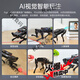 Fantasy Ros Robot Robot de cuatro patas Dog Puppypi Bionic Intelligent Programming AI Vision Model Raspberry PI 4B/5 Versión de desarrollo que incluye radar + voz + paquete de expansión del sensor Raspberry Pi 4B/4G