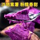 Authentic sandy land premium purple sweet potato, freshly dug, soft, glutinous, sweet, purple sweet potato, selected sweet potato, shipped directly from the origin, containing box 1Jin Jin is equal to 0.5kg, medium fruit, single fruit (3 taels - 6 taels)