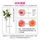 Jingdong Flowers (Poetry and Flower Language)-Kunming flower base straight hair roses lilies multi-head bouquets flowers straight hair from the source