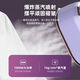 
RASW German handheld hanging ironing machine mini steam electric iron small portable soup clothes ironing folding ironing machine 6-speed model_purple_220V_national standard plug_domestic use