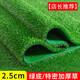 Fake lawn, simulated turf, green carpet, outdoor artificial plastic, artificial bionic outdoor insulation fence, football field, 2.5 cm thickened spring grass, 3 meters wide*6 meters long