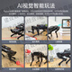 
Fantasy ROS robot four-legged robot dog PuppyPi bionic intelligent programming AI vision mockup Raspberry Pi 4B/5 standard version with vision Raspberry Pi 4B/4G