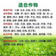 Yuntianhua Diammonium Phosphate Fertilizer 50kg Compound Fertilizer Household Fertilizer for Vegetables and Flowers Agricultural Chemical Fertilizer 100 Jin Jin equals 0.5 kg Packed Original 100 Jin Jin equals 0.5 kg Yunnan Guizhou Guangzhou Sichuan Chongqing Heiji Liao