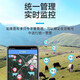 Hayi cattle and sheep locator GPS Beidou satellite mountain grazing horse animals livestock remote tracking anti-lost artifact j 4G mountain sheep price 17,000 anti-fall + wear-resistant + anti-offline + anti-cold source factory + quality assurance