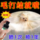 Fluffy and smooth dog knotting spray Bichon Teddy dog and cat hair knotting artifact no-wash knotting water one spray knotting single bottle