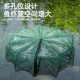 Green 16-hole fish cage set fishing net floor net fish cage fishing shrimp cage loach eel lobster fish net folding river shrimp cage
