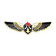 WEISHINI Air Show Aerospace Fighter Badge Y-20 H-6K Teaching 8 J-20 UAV Model Aviation Aircraft Metal Brooch J-20-Vyron