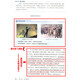Echte 2024 Neue Lehrplanreform Neue Version High School Politische Ideologie Obligatorisch eins, zwei, drei, vier 12134 Vollständige Set vier Personal Education Edition High School Political Complete Set People's Education Press High School Ideologie und politische obligatorische vollständige Set -Lehrbuchkompilation Edition