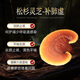 WILAKON/维乐康破壁灵芝孢子粉胶囊增强免疫力术后放化疗中老年人营养品90粒/盒