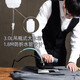 红心（HONGXIN）吊瓶电熨斗RH1369蒸汽2000W大功率工业烫斗服装干洗窗帘 RH1369(