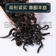 Peking Tongrentang Qingqian Liutang Jiangshen Tee Authentische chinesische Medizin Maulbeerblatt Tee Burdock Mais Haut Spezialer Wildtee Jinqian Liu Blutzucker [4 Dosen] Qingqian Liu 1000g]