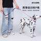 Cat 80,000 dog P rope explosion-proof training dog leash dog rope chest harness small, medium and large dog P chain Y19 black